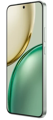 Смартфон Honor X9d 8GB/256GB Мятный (Forest Green)