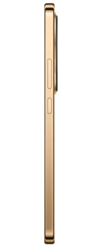 Смартфон Honor X9d 12GB/256GB Терракотовый (Reddish Brown)