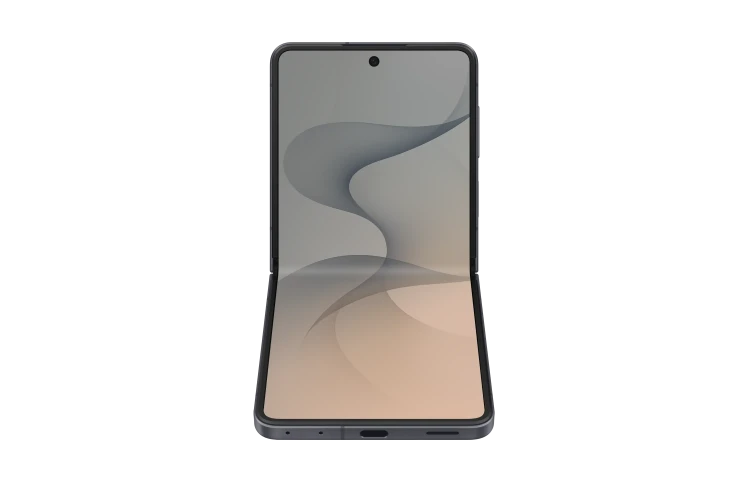 Смартфон Samsung Galaxy Z Flip8 12GB/256GB Серый (Graphite)