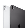 Планшет Apple iPad Pro 11" (M4) Wi-Fi + Cellular 1TB Серебристый (Silver)