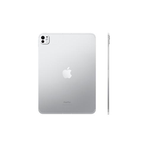 Планшет Apple iPad Pro 13" (M4) Wi-Fi + Cellular 256GB Серебристый (Silver)