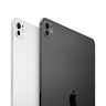 Планшет Apple iPad Pro 13" (M4) Wi-Fi + Cellular 256GB Серебристый (Silver)