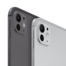 Планшет Apple iPad Pro 11" (M5, 2025) Wi-Fi + Cellular 256GB Черный космос (Space Black)