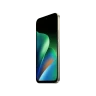 Смартфон Redmi 17 6GB/128GB Зеленый Дуб (Oak Green)